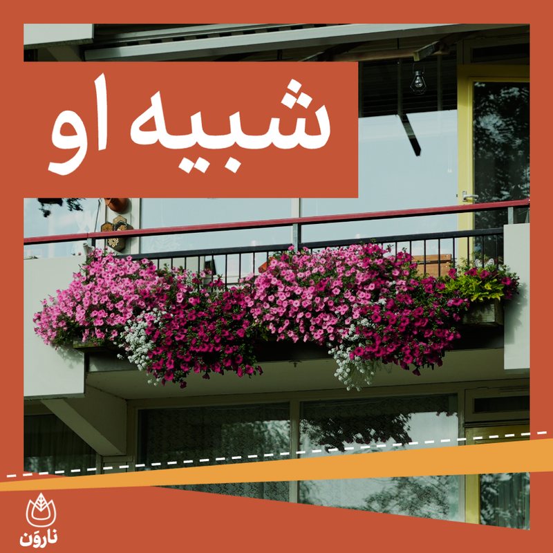 شبیه او